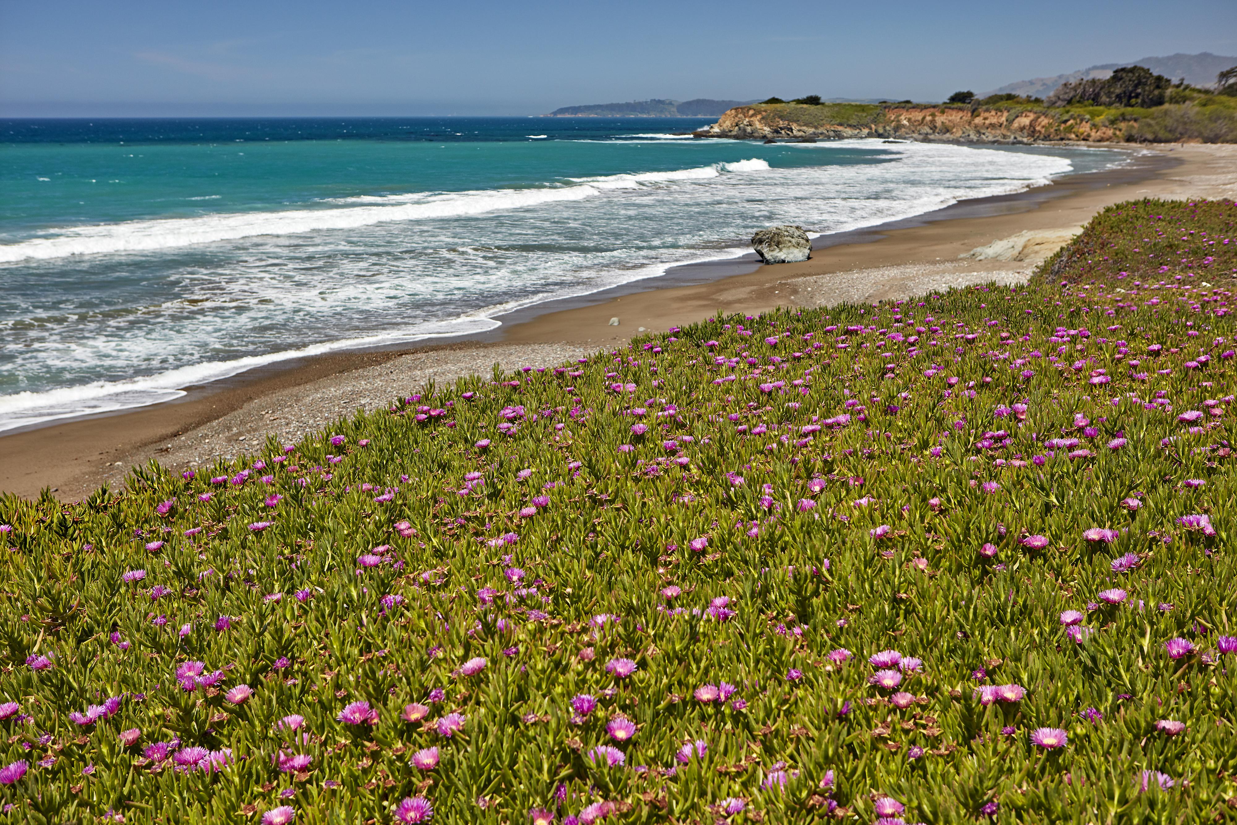 Cavalier Oceanfront Resort San Simeon Dış mekan fotoğraf